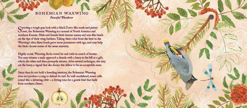 Birds in a Book (UpLifting Editions)