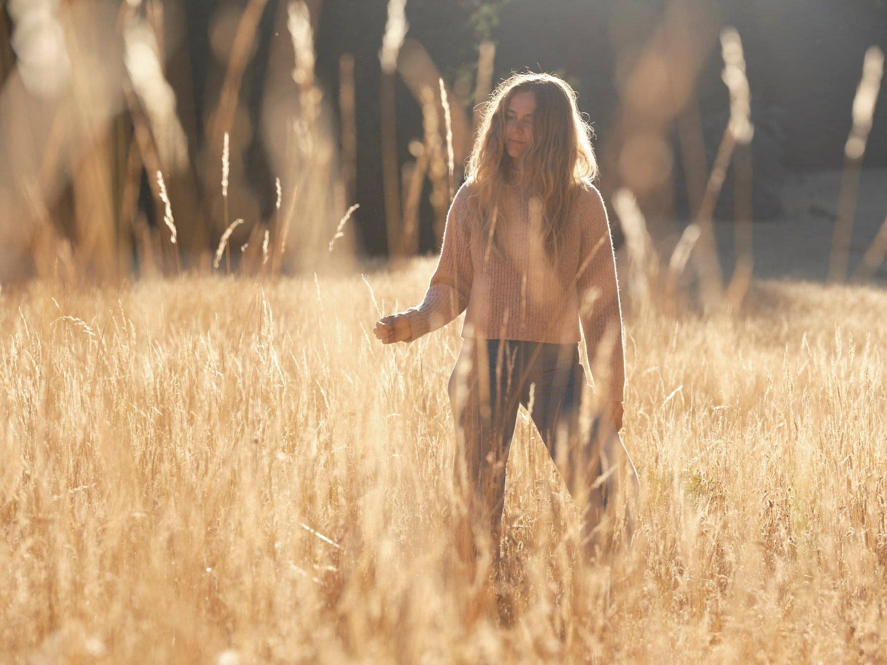 A person with long hair stands in a sunlit field of tall golden grass, wearing the cozy Mollusk Teddy Sweater. The softly blurred background adds to the warm and peaceful atmosphere.
