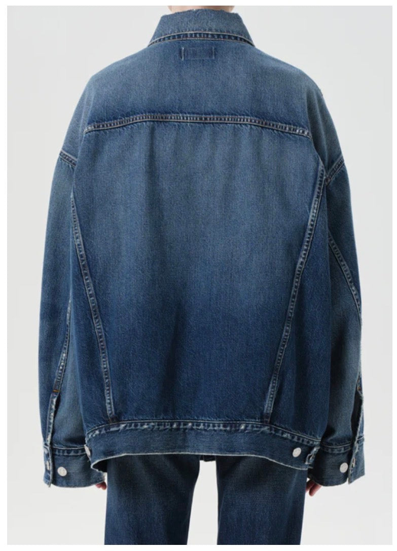 Reworked Wayne Jacket in Illuminate by Agolde