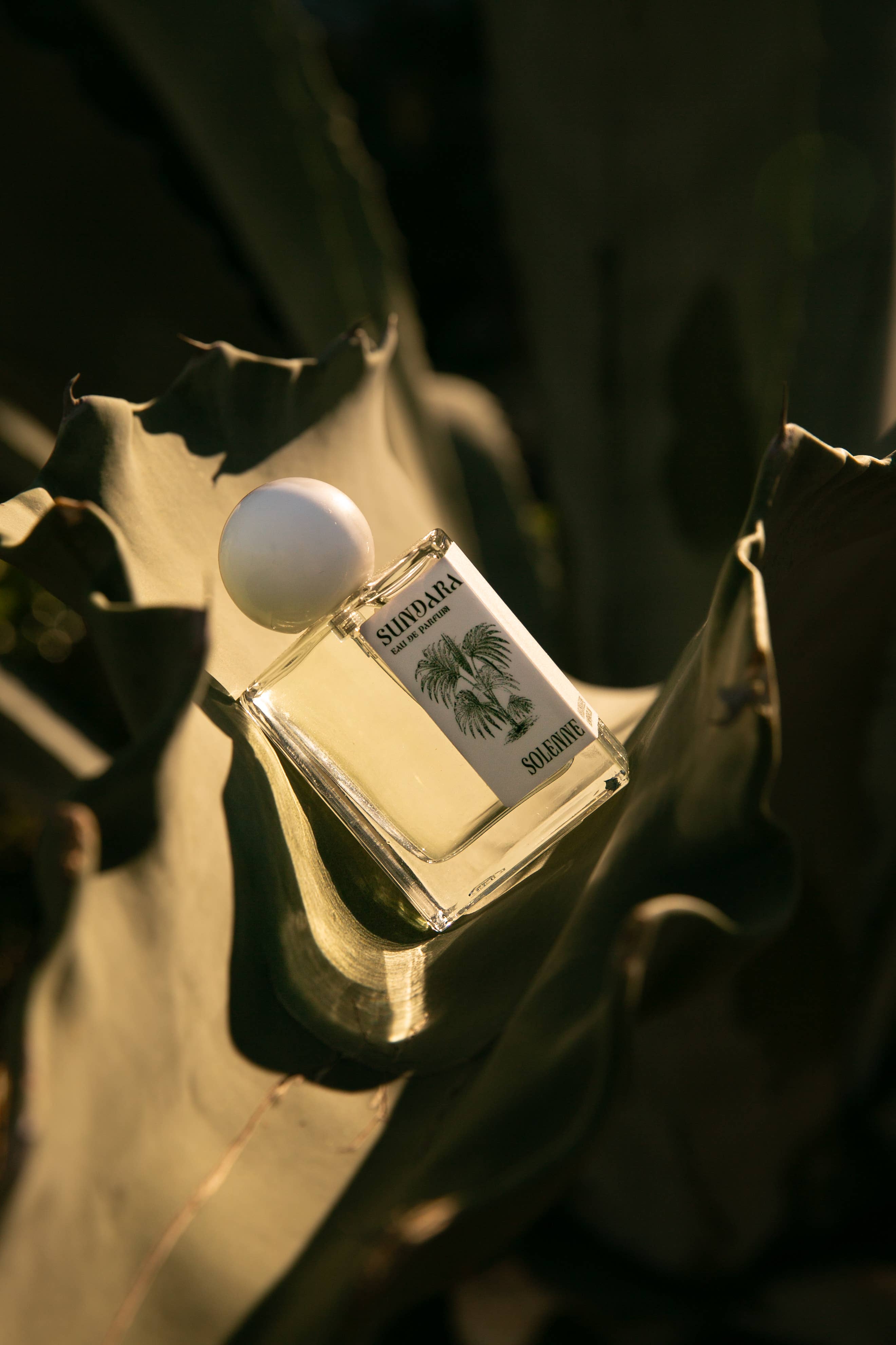 SUNDARA - Eau De Parfum - Nontoxic Fragrance