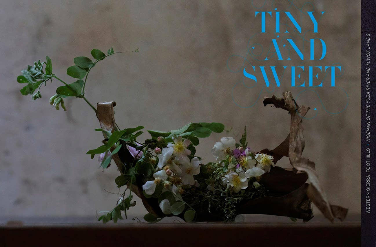 Punk Ikebana: Reimagining the Art of Floral Design