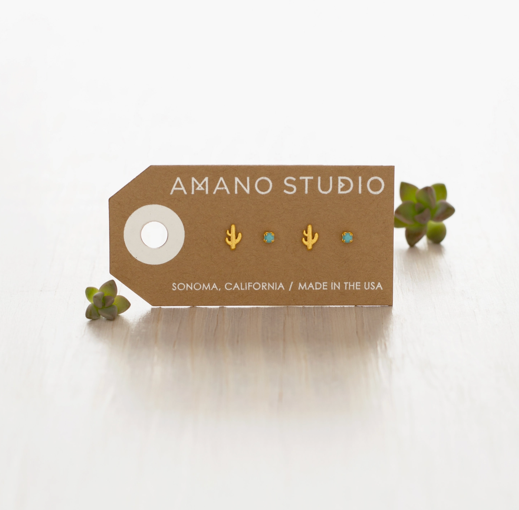 Cactus + Turquoise Stud Earring Set