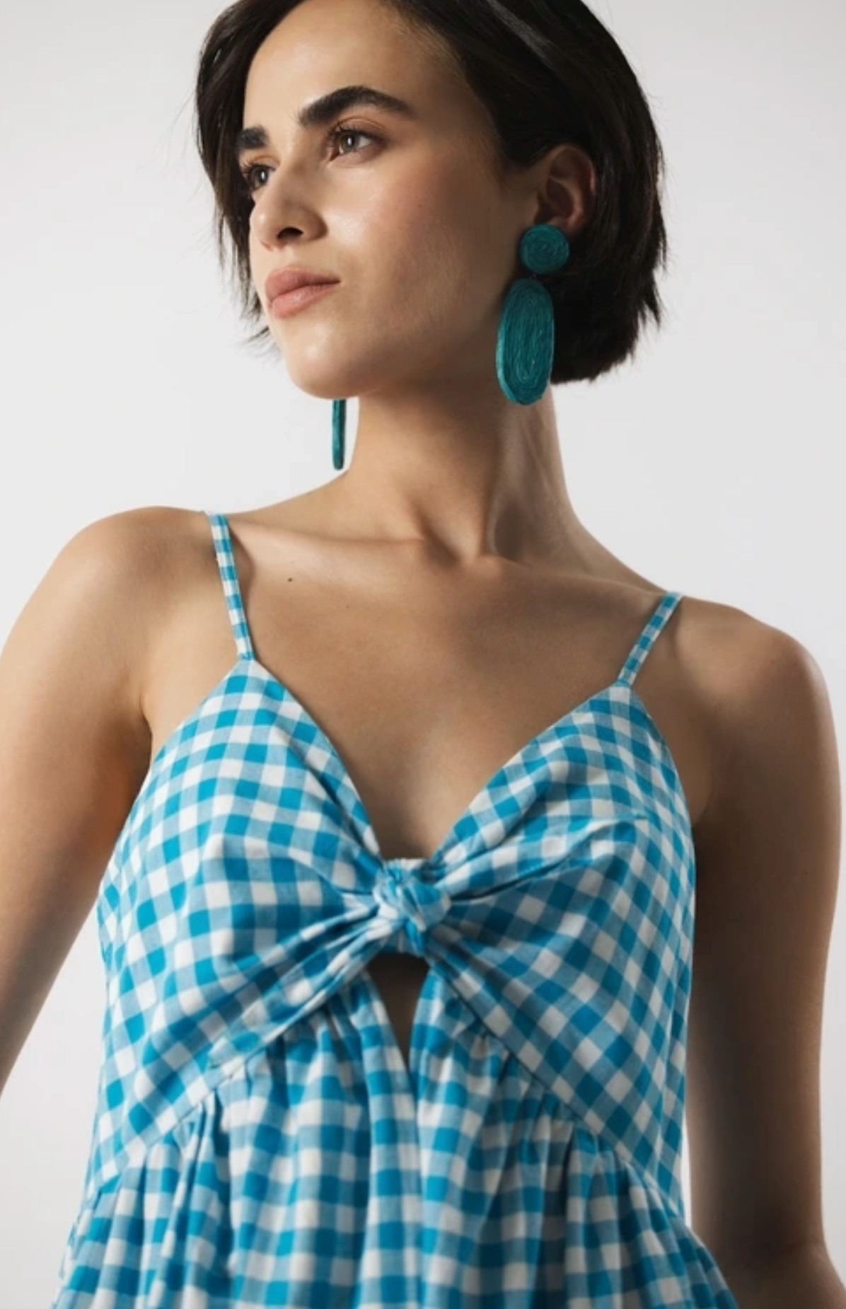The Sunday Picnic Dress In Blue Checker