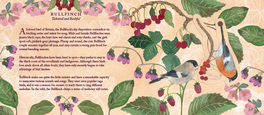 Birds in a Book (UpLifting Editions)