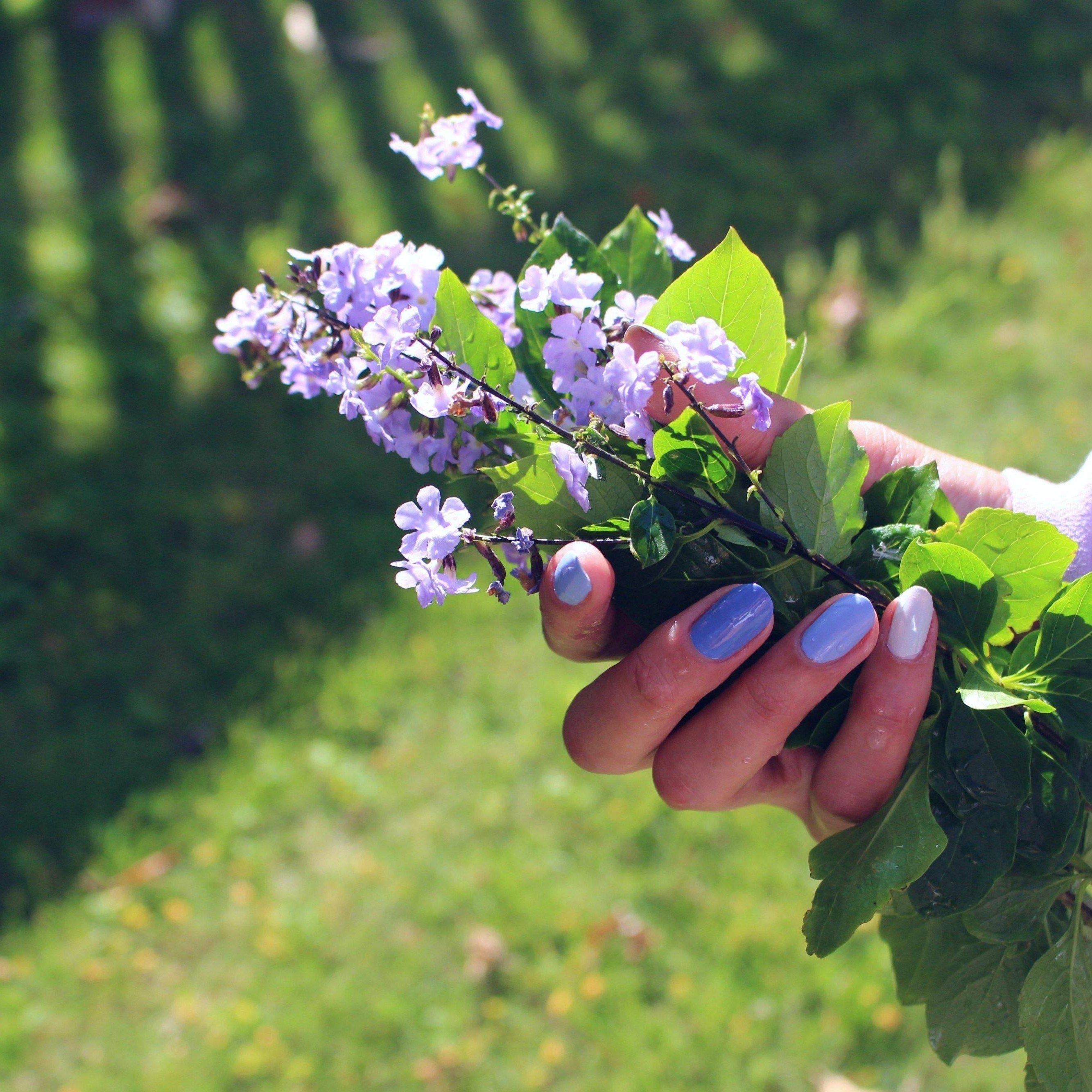 Belle Epoque Nail Polish