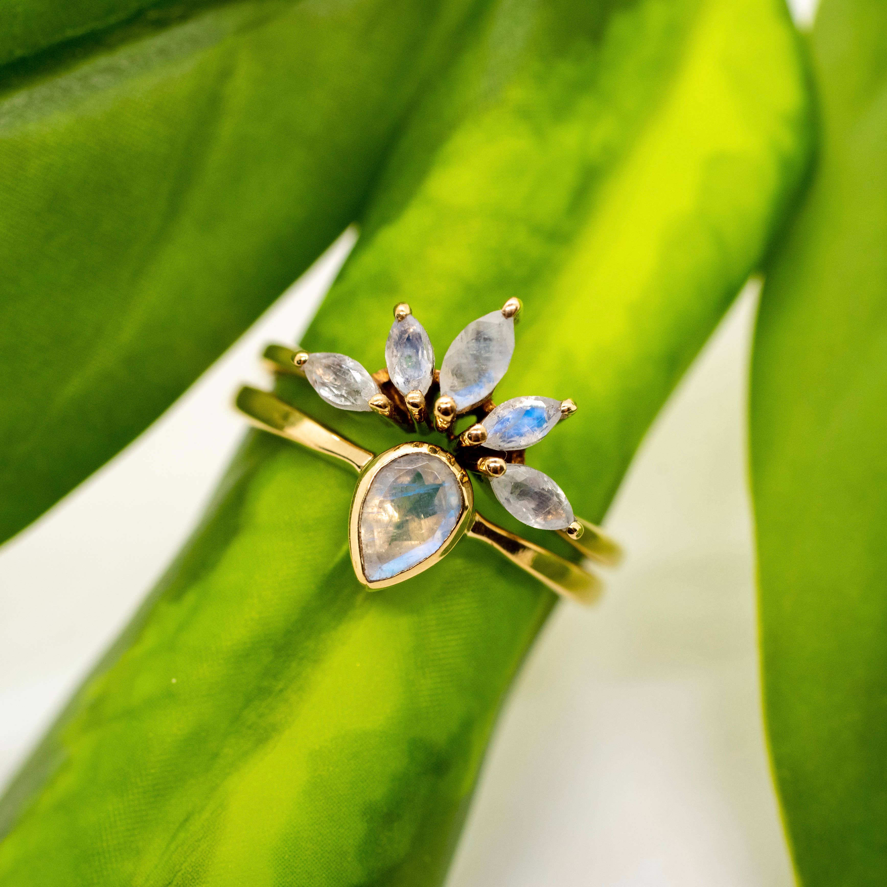 The Baizaar Brass Nesting Moonstone Ring Set, featuring a pear and five marquise-shaped rainbow moonstones, is displayed on vibrant green leaves for a natural, elegant look.