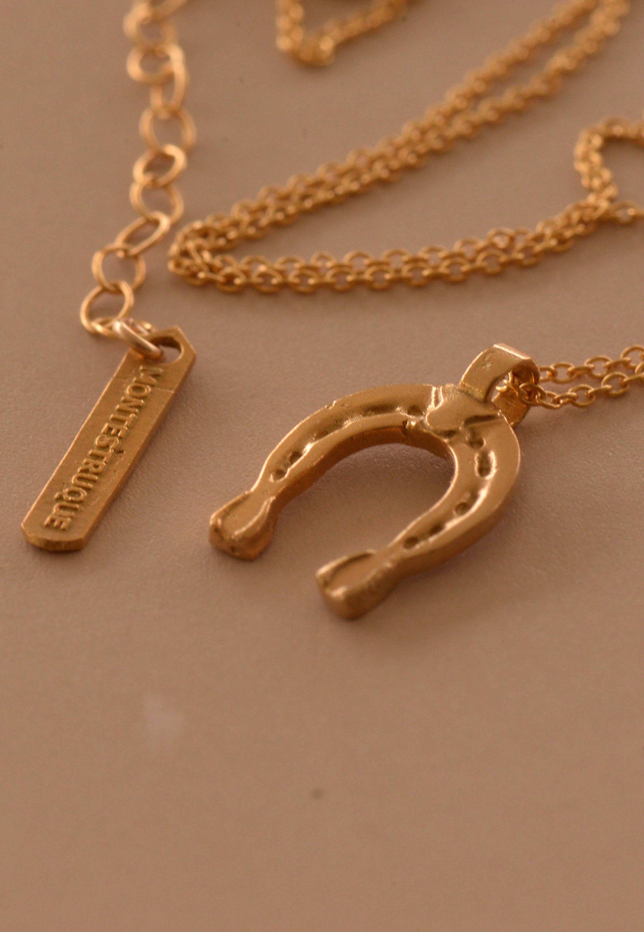 The Lucky charm necklace