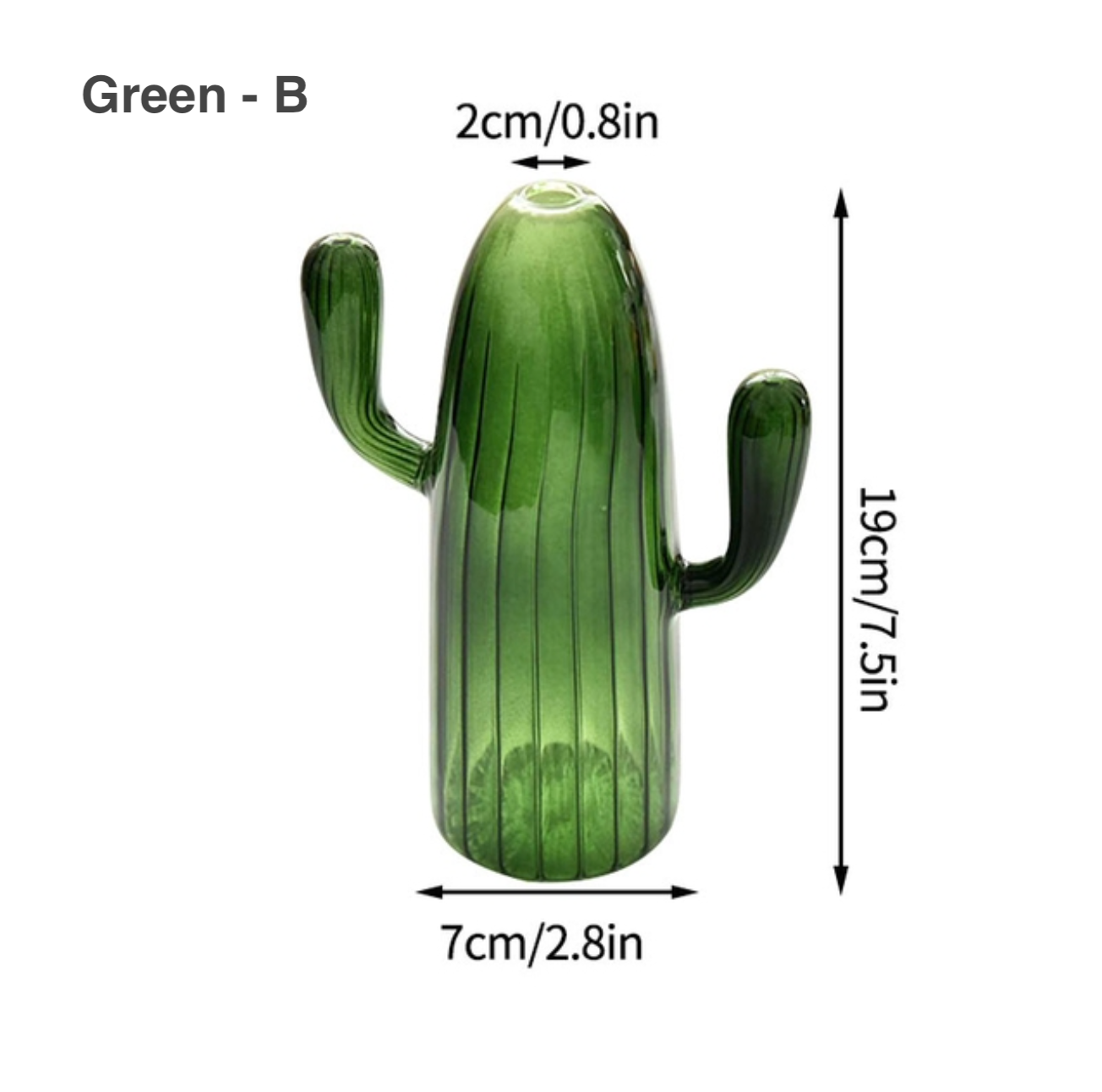 Cactus Shaped Glass Hydroponics Plant Vase in green with curved arms and vertical ribbed texture, measuring 19cm tall.