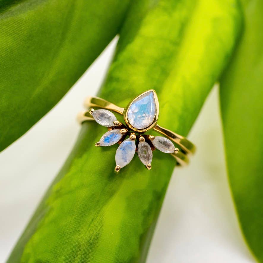 The Brass Nesting Moonstone Ring Set by Baizaar is displayed on a green plant, highlighting the delicate, handmade artisan design of these unique rings.