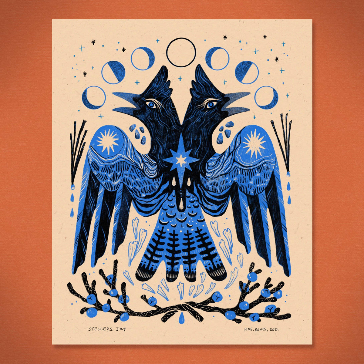 Stellers Jay - 8x10 Nature Wilderness Art Print 