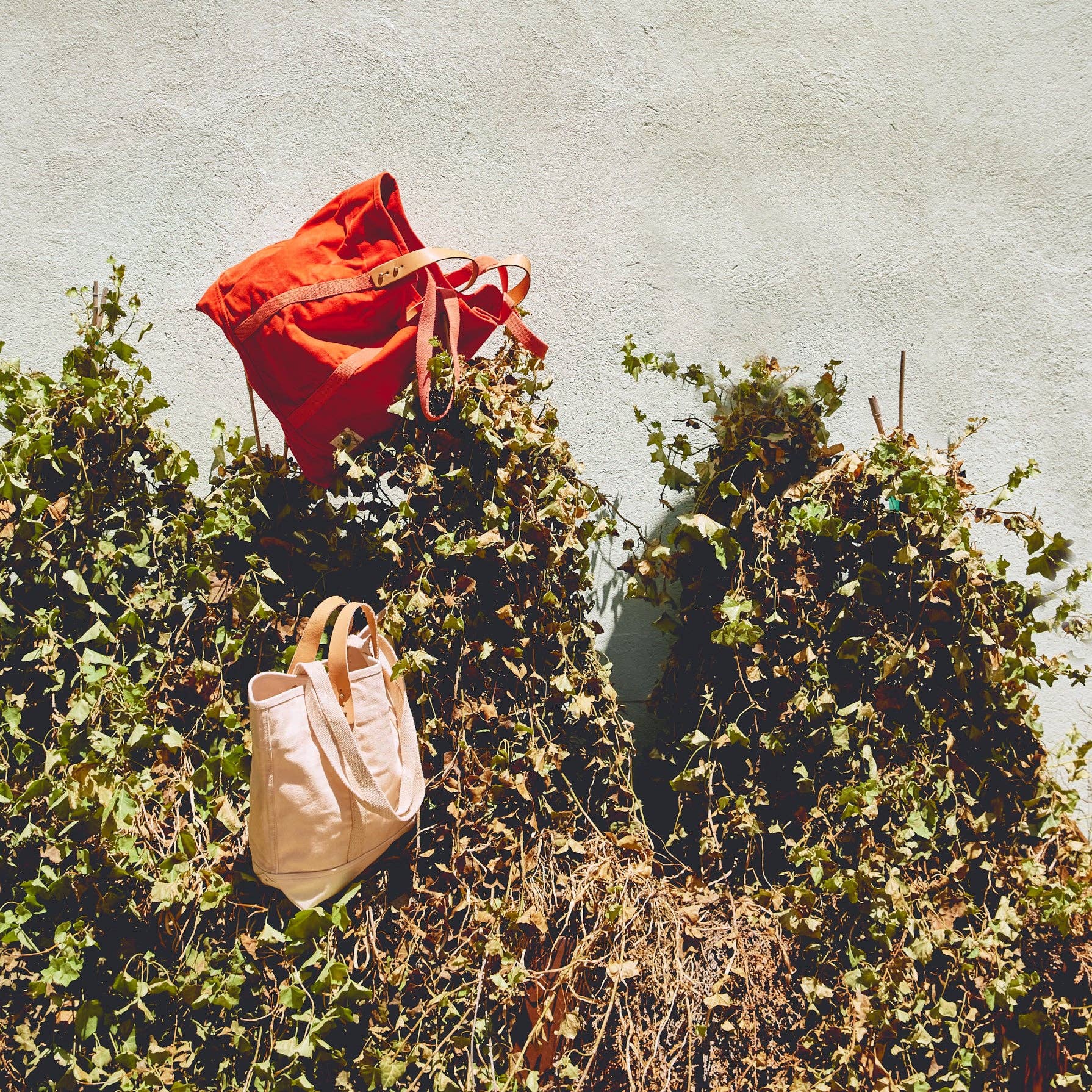 Large East West Tote | Persimmon hanging on leafy vines against a textured light wall in warm natural light