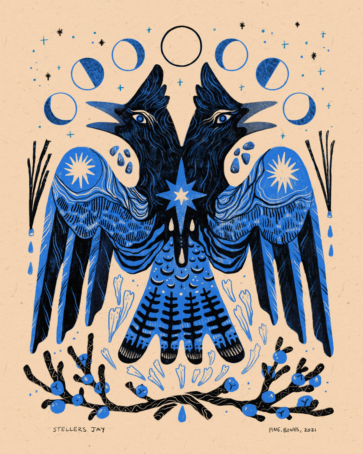 Stellers Jay - 8x10 Nature Wilderness Art Print 