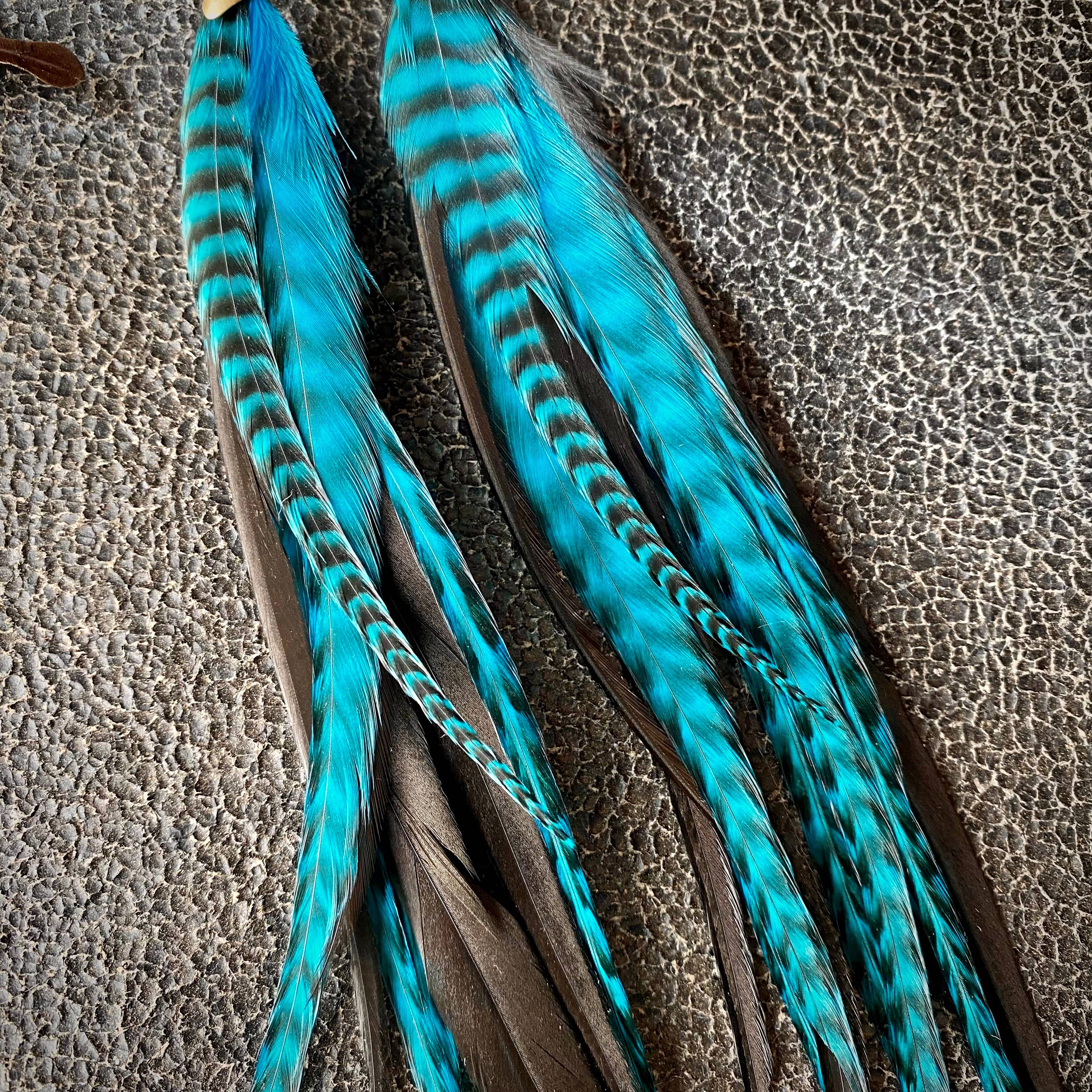 Close-up of ASTALI’s Long Feather & Cone Earrings—turquoise grizzly with black/gold stripes. These sustainably sourced feathers feature brown bases and blue accents, perfect for boho style, displayed on a textured gray surface.