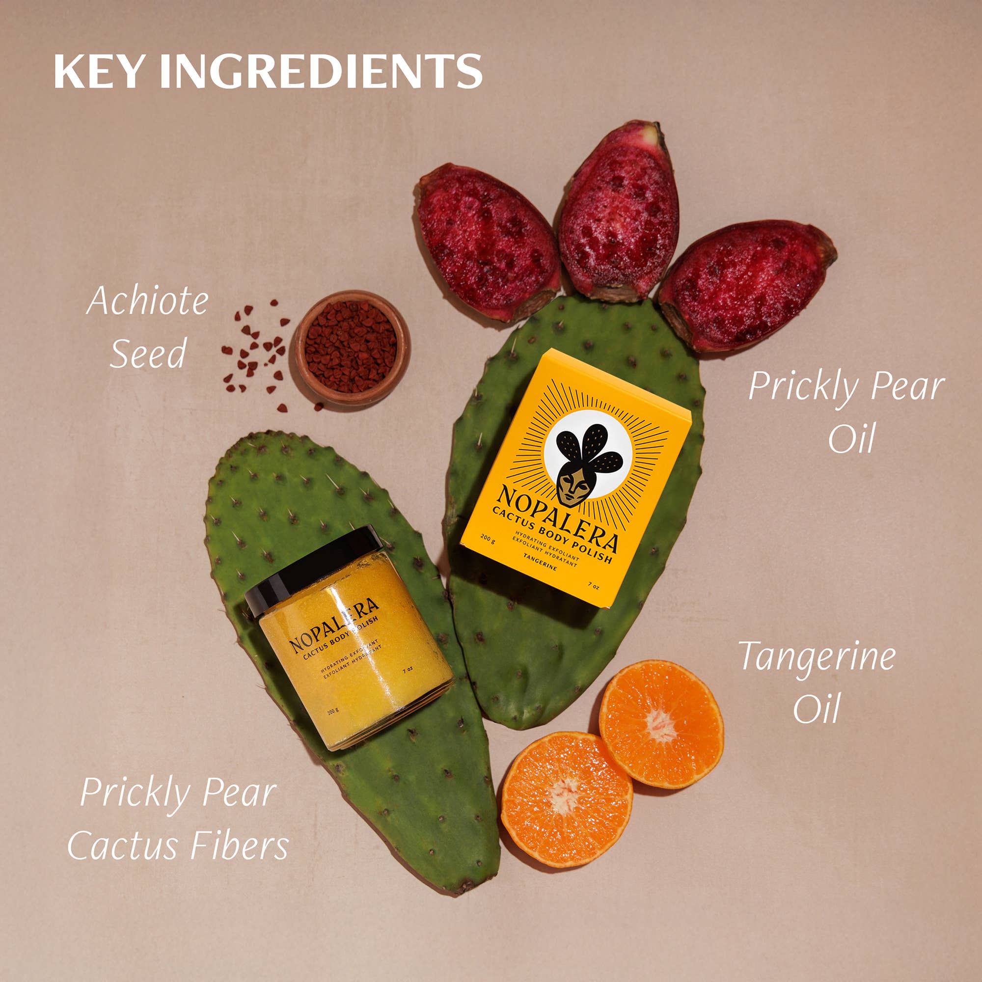 Tangerine Cactus Body Polish with prickly pear cactus, tangerine oil, achiote seed, and prickly pear oil key ingredients.