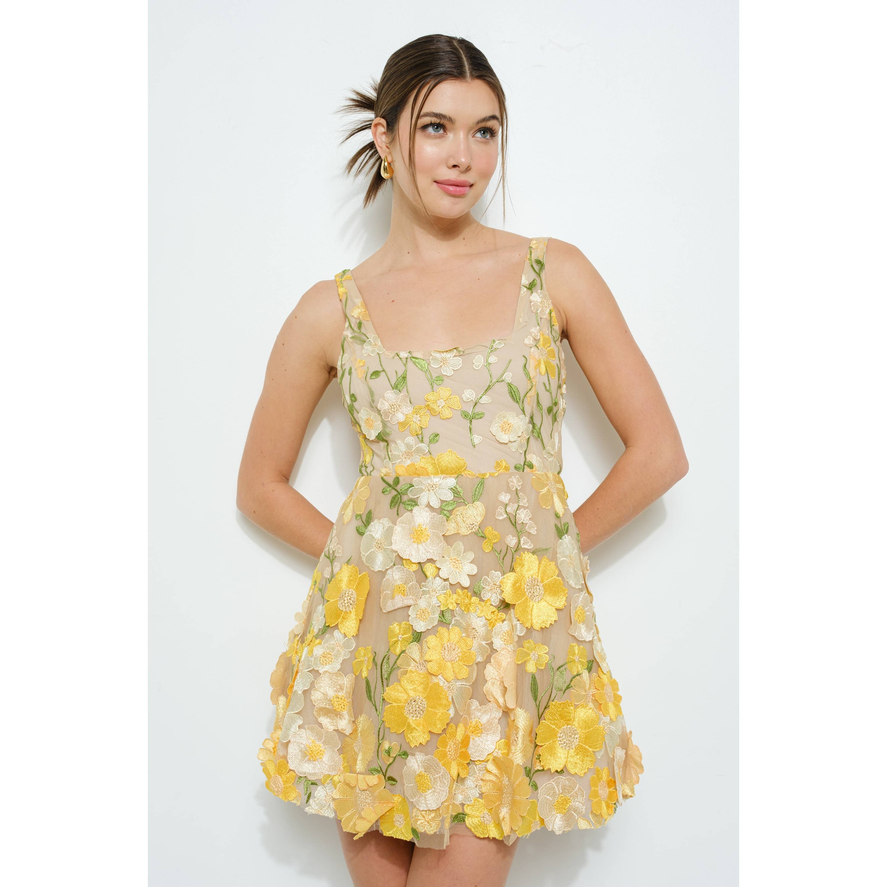 Sleeveless 3D Floral Embroidered Mini Dress