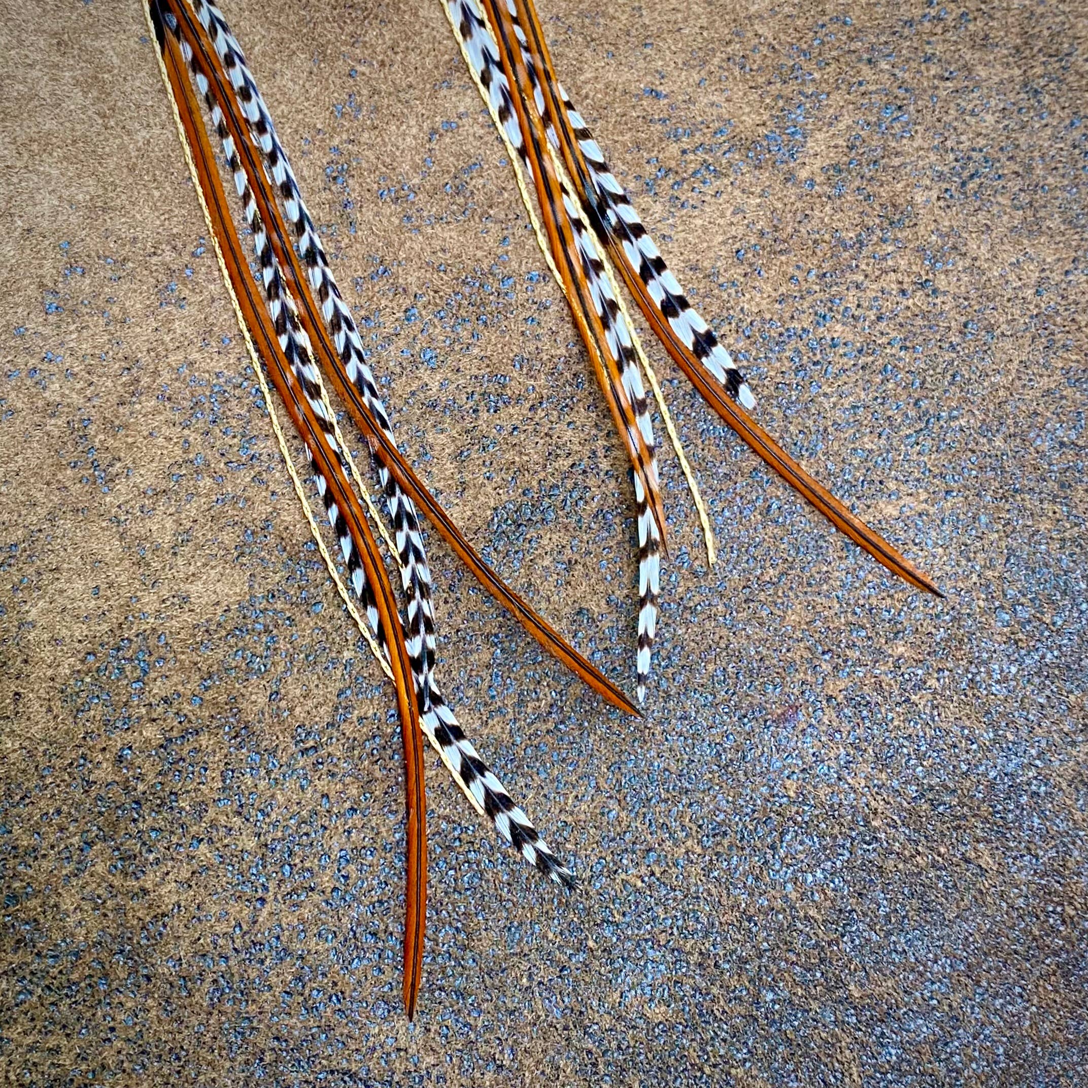 Several long, narrow feathers with brown, black, and white patterns rest on a textured tan surface, reflecting the natural beauty of ASTALI’s Turquoise & Mini Feather Earrings - Grizzly & Fawn/Gold.
